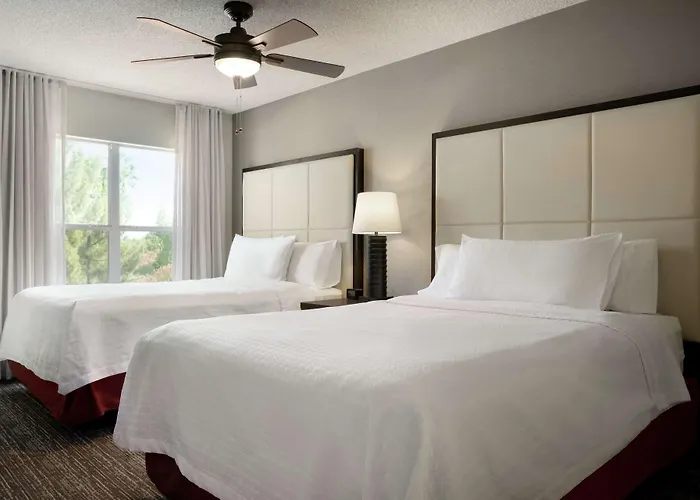 Hotel Homewood By Hilton Phoenix-chandler Chandler
