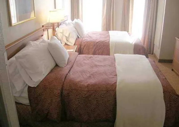 Homewood By Hilton Phoenix-chandler Hotel Chandler