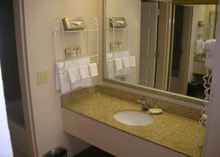 Hotel Homewood By Hilton Phoenix-chandler